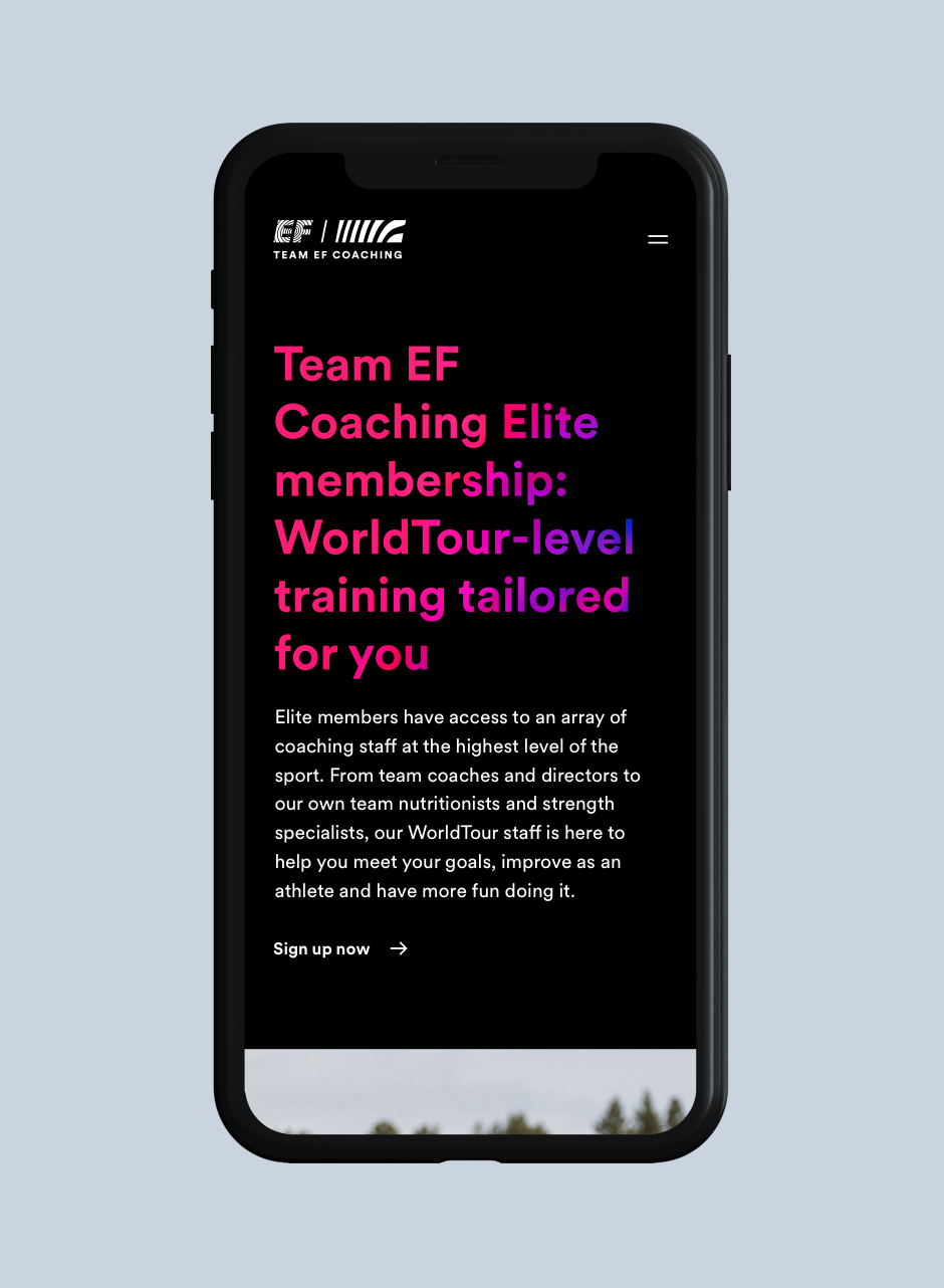 Team EF Coaching